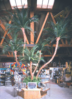 Irian Jaya Tropical Palm Cluster
