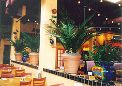 Mexicali Grill